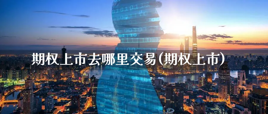 期权上市去哪里交易(期权上市)_期货市场_第1张_南严期货 期权上市去哪里交易(期权上市)_https://www.nyyysy.com_期货市场_第1张