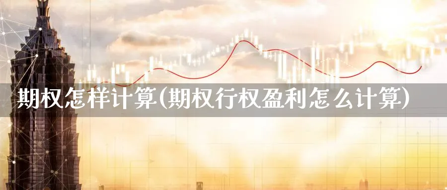 期权怎样计算(期权行权盈利怎么计算)_https://www.nyyysy.com_期货市场_第1张