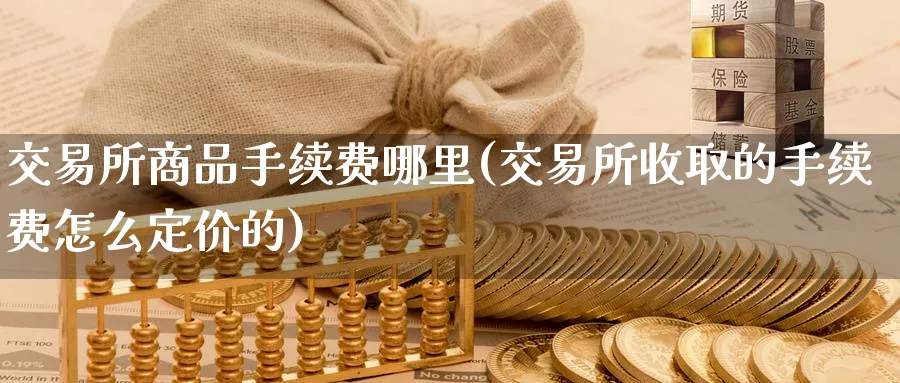 交易所商品手续费哪里(交易所收取的手续费怎么定价的)_https://www.nyyysy.com_期货平台_第1张