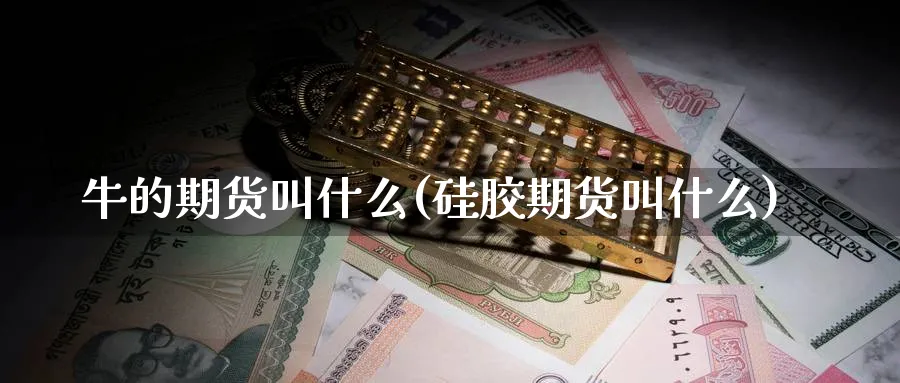牛的期货叫什么(硅胶期货叫什么)_https://www.nyyysy.com_期货市场_第1张