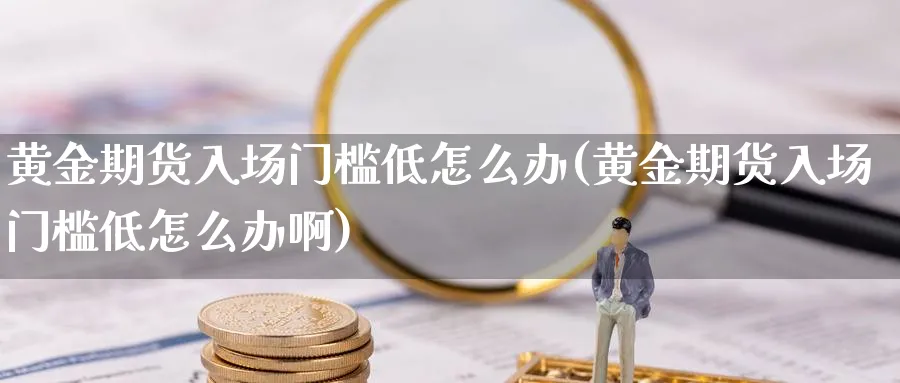 黄金期货入场门槛低怎么办(黄金期货入场门槛低怎么办啊)_https://www.nyyysy.com_期货喊单_第1张