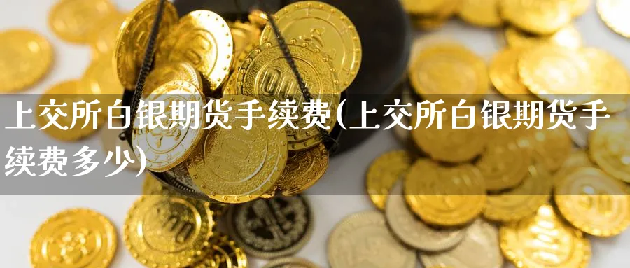 上交所白银期货手续费(上交所白银期货手续费多少)_https://www.nyyysy.com_期货直播_第1张