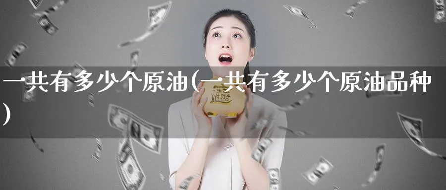 一共有多少个原油(一共有多少个原油品种)_https://www.nyyysy.com_期货分析_第1张