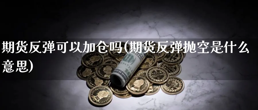 期货反弹可以加仓吗(期货反弹抛空是什么意思)_https://www.nyyysy.com_期货喊单_第1张