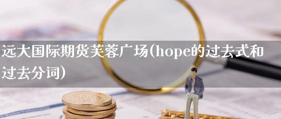 远大国际期货芙蓉广场(hope的过去式和过去分词)_https://www.nyyysy.com_期货喊单_第1张
