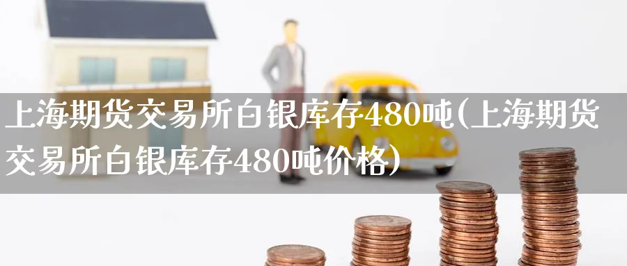 上海期货交易所白银库存480吨(上海期货交易所白银库存480吨价格)_https://www.nyyysy.com_期货喊单_第1张