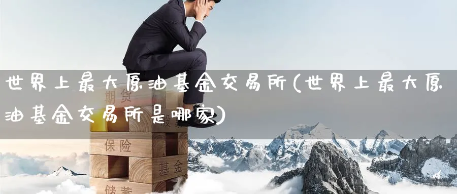世界上最大原油基金交易所(世界上最大原油基金交易所是哪家)_https://www.nyyysy.com_期货平台_第1张