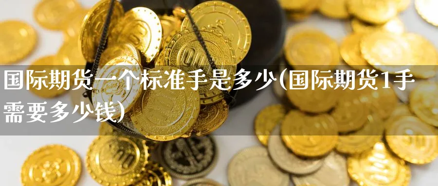 国际期货一个标准手是多少(国际期货1手需要多少钱)_期货平台_第1张_南严期货 国际期货一个标准手是多少(国际期货1手需要多少钱)_https://www.nyyysy.com_期货平台_第1张