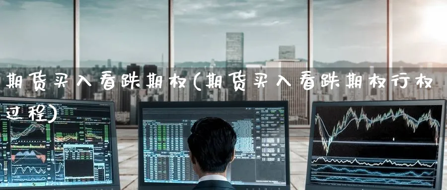 期货买入看跌期权(期货买入看跌期权行权过程)_https://www.nyyysy.com_期货喊单_第1张