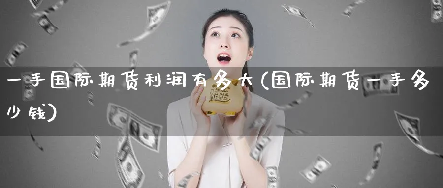 一手国际期货利润有多大(国际期货一手多少钱)_https://www.nyyysy.com_期货直播_第1张