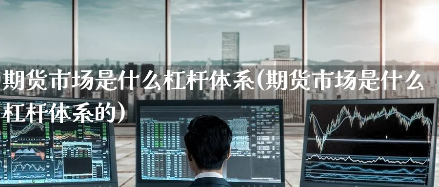 期货市场是什么杠杆体系(期货市场是什么杠杆体系的)_https://www.nyyysy.com_期货分析_第1张