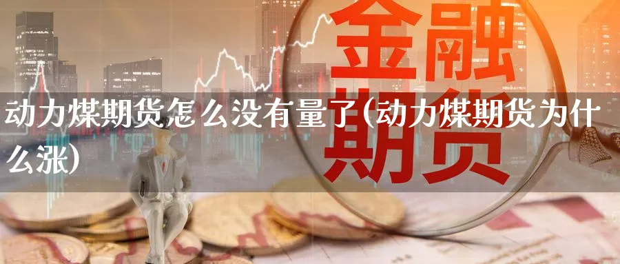 动力煤期货怎么没有量了(动力煤期货为什么涨)_https://www.nyyysy.com_期货行情_第1张