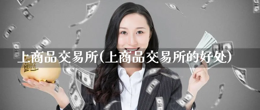 上商品交易所(上商品交易所的好处)_https://www.nyyysy.com_期货喊单_第1张