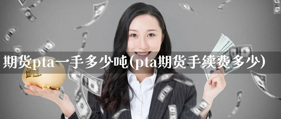 期货pta一手多少吨(pta期货手续费多少)_https://www.nyyysy.com_期货行情_第1张