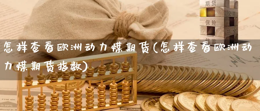 怎样查看欧洲动力煤期货(怎样查看欧洲动力煤期货指数)_https://www.nyyysy.com_期货平台_第1张