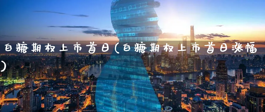 白糖期权上市首日(白糖期权上市首日涨幅)_https://www.nyyysy.com_期货平台_第1张