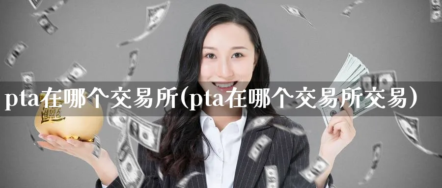 pta在哪个交易所(pta在哪个交易所交易)_https://www.nyyysy.com_期货分析_第1张