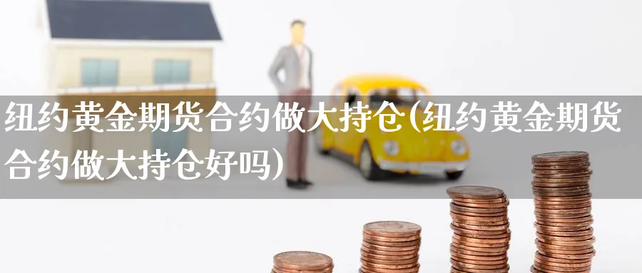 纽约黄金期货合约做大持仓(纽约黄金期货合约做大持仓好吗)_https://www.nyyysy.com_期货平台_第1张