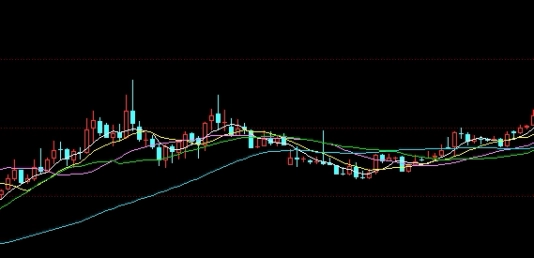 棕榈油2301期货评论(棕榈油2109期货)_https://www.nyyysy.com_期货市场_第1张