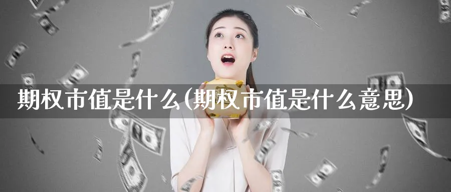 期权市值是什么(期权市值是什么意思)_https://www.nyyysy.com_期货行情_第1张