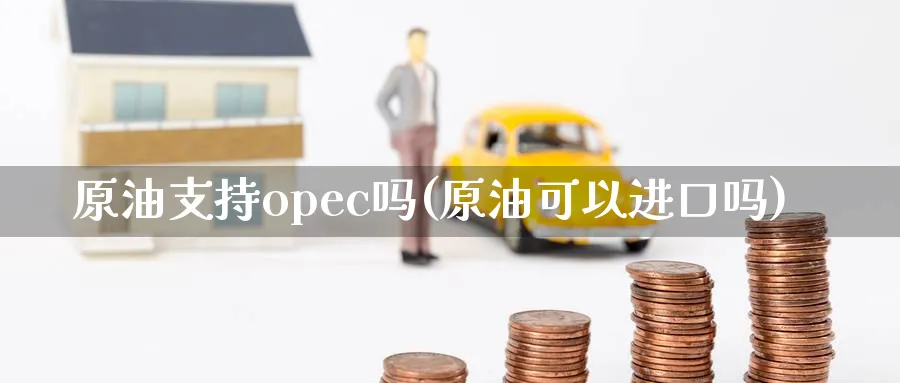 原油支持opec吗(原油可以进口吗)_https://www.nyyysy.com_期货分析_第1张