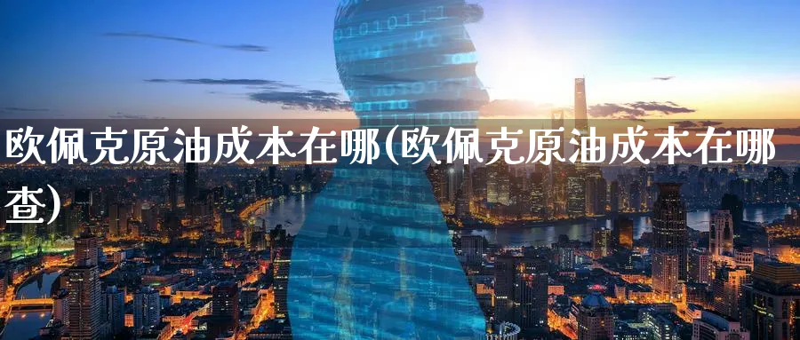 欧佩克原油成本在哪(欧佩克原油成本在哪查)_https://www.nyyysy.com_期货喊单_第1张