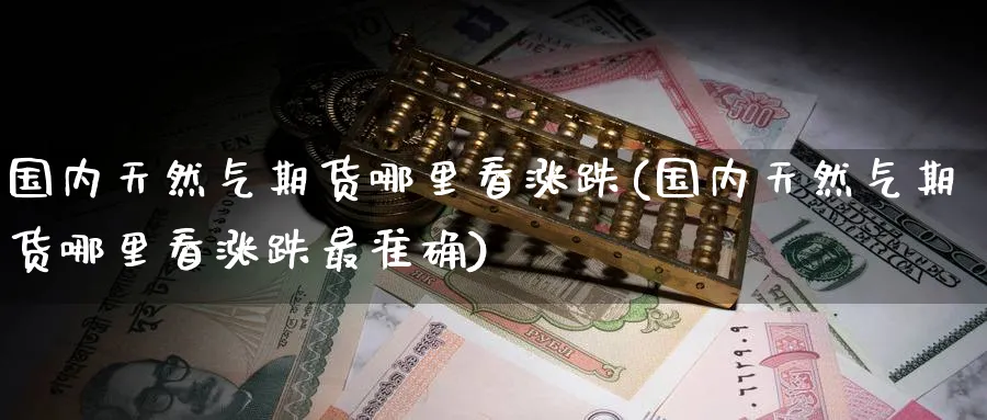 国内天然气期货哪里看涨跌(国内天然气期货哪里看涨跌最准确)_https://www.nyyysy.com_期货喊单_第1张