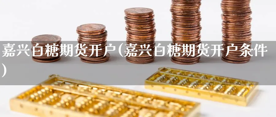 嘉兴白糖期货开户(嘉兴白糖期货开户条件)_https://www.nyyysy.com_期货喊单_第1张