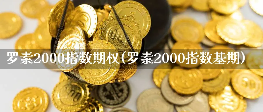 罗素2000指数期权(罗素2000指数基期)_https://www.nyyysy.com_期货平台_第1张
