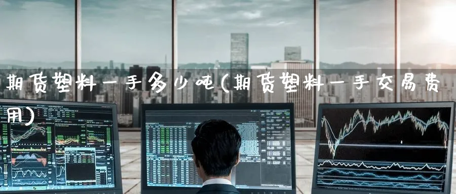期货塑料一手多少吨(期货塑料一手交易费用)_https://www.nyyysy.com_期货平台_第1张