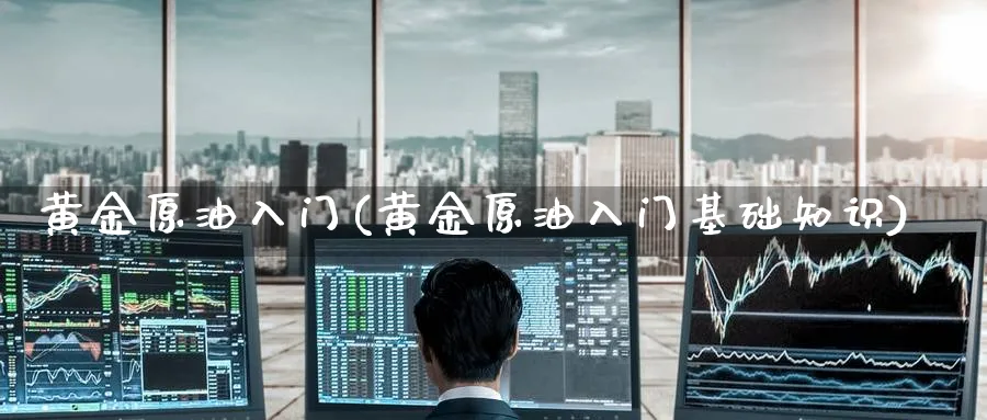 黄金原油入门(黄金原油入门基础知识)_https://www.nyyysy.com_期货喊单_第1张