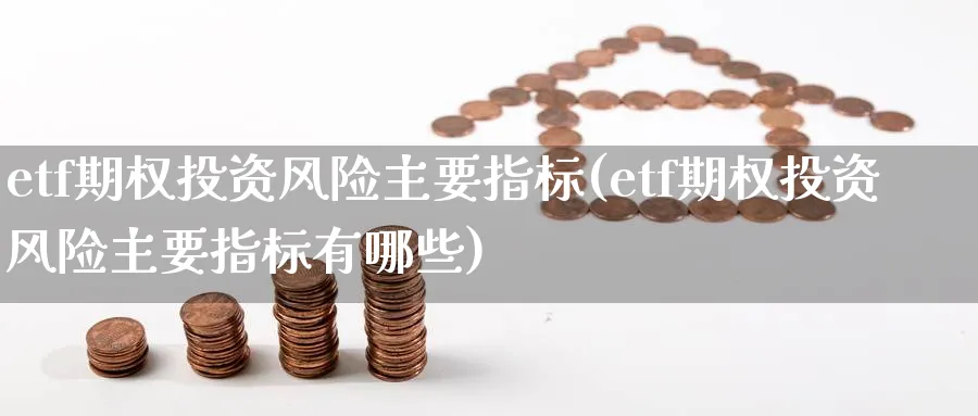 etf期权投资风险主要指标(etf期权投资风险主要指标有哪些)_https://www.nyyysy.com_期货直播_第1张