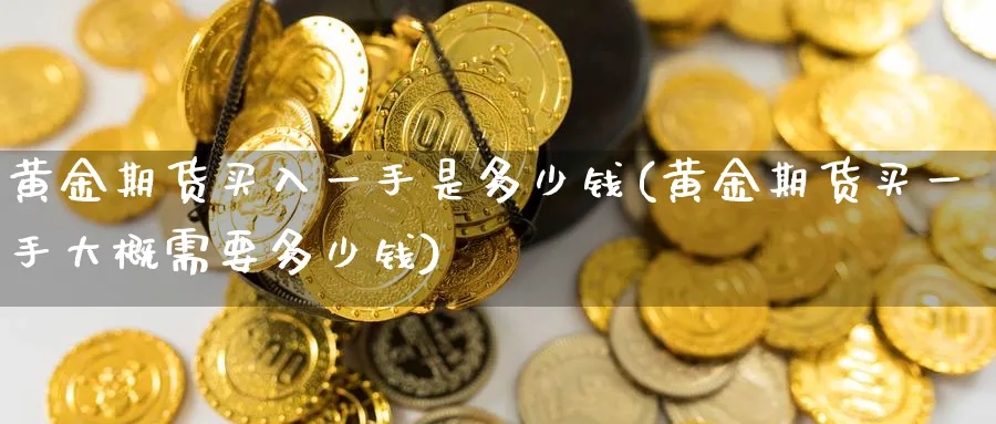 黄金期货买入一手是多少钱(黄金期货买一手大概需要多少钱)_https://www.nyyysy.com_期货分析_第1张