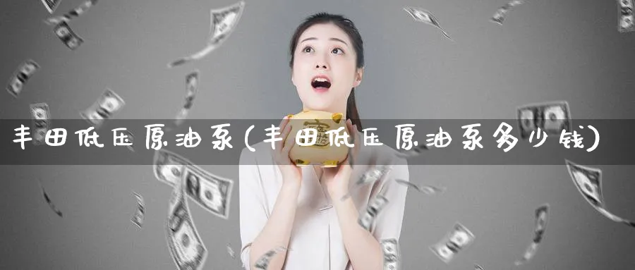 丰田低压原油泵(丰田低压原油泵多少钱)_https://www.nyyysy.com_期货行情_第1张