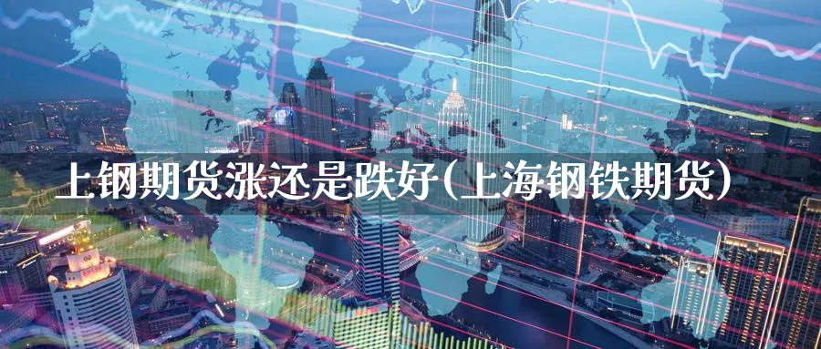 上钢期货涨还是跌好(上海钢铁期货)_https://www.nyyysy.com_期货平台_第1张