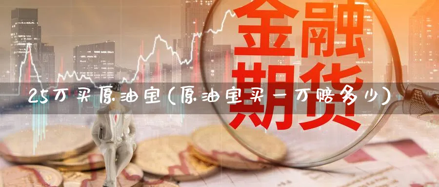 25万买原油宝(原油宝买一万赔多少)_https://www.nyyysy.com_期货市场_第1张