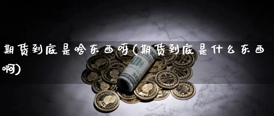 期货到底是啥东西呀(期货到底是什么东西啊)_https://www.nyyysy.com_期货平台_第1张