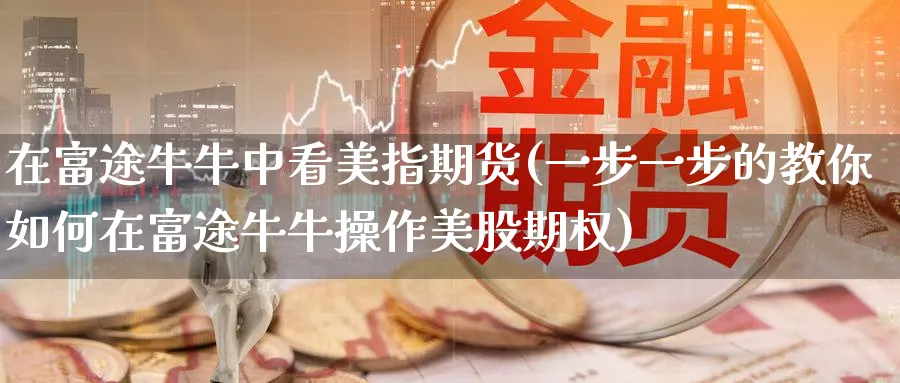 在富途牛牛中看美指期货(一步一步的教你如何在富途牛牛操作美股期权)_https://www.nyyysy.com_期货喊单_第1张