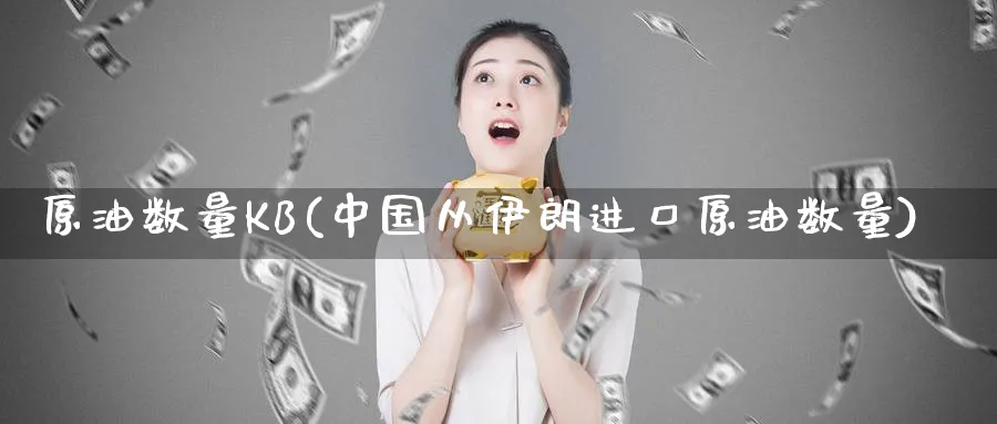 原油数量KB(中国从伊朗进口原油数量)_https://www.nyyysy.com_期货市场_第1张