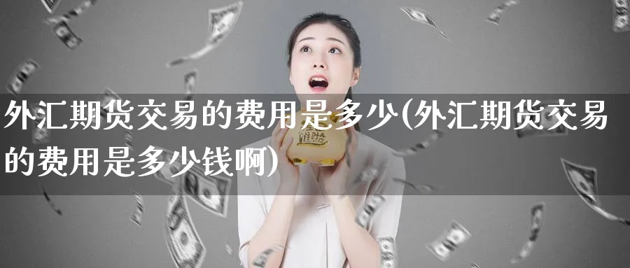 外汇期货交易的费用是多少(外汇期货交易的费用是多少钱啊)_https://www.nyyysy.com_期货市场_第1张