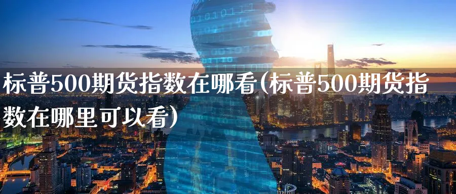 标普500期货指数在哪看(标普500期货指数在哪里可以看)_https://www.nyyysy.com_期货行情_第1张