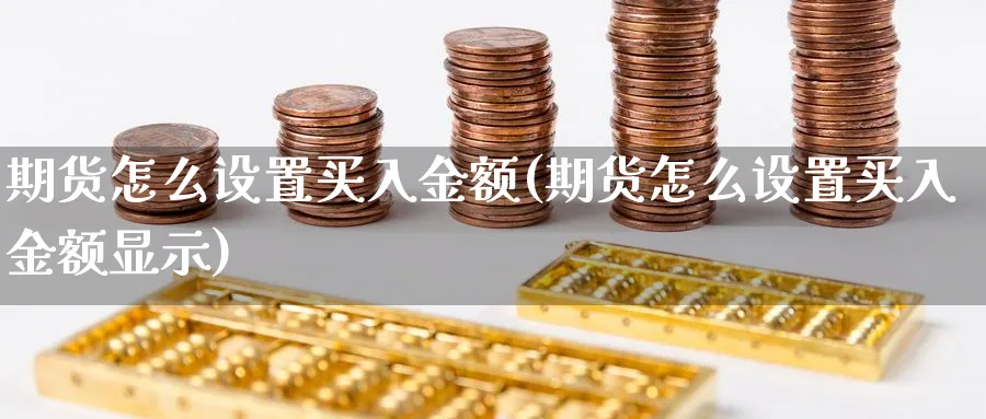 期货怎么设置买入金额(期货怎么设置买入金额显示)_https://www.nyyysy.com_期货平台_第1张