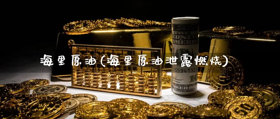海里原油(海里原油泄露燃烧)_https://www.nyyysy.com_期货分析_第1张