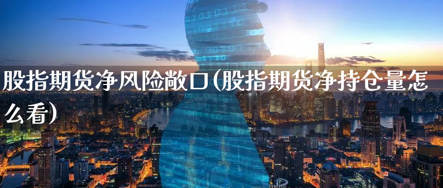 股指期货净风险敞口(股指期货净持仓量怎么看)_https://www.nyyysy.com_期货行情_第1张