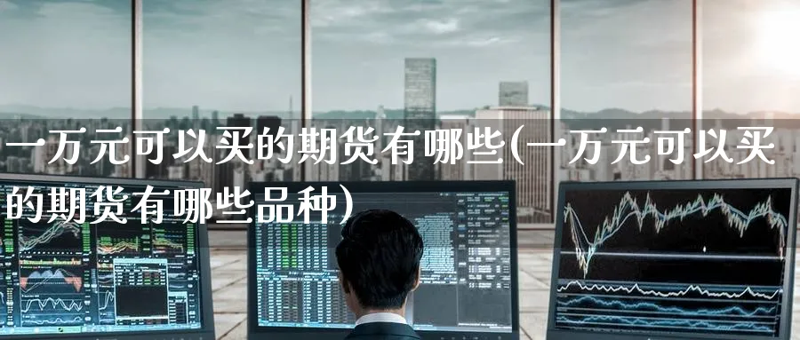 一万元可以买的期货有哪些(一万元可以买的期货有哪些品种)_https://www.nyyysy.com_期货市场_第1张
