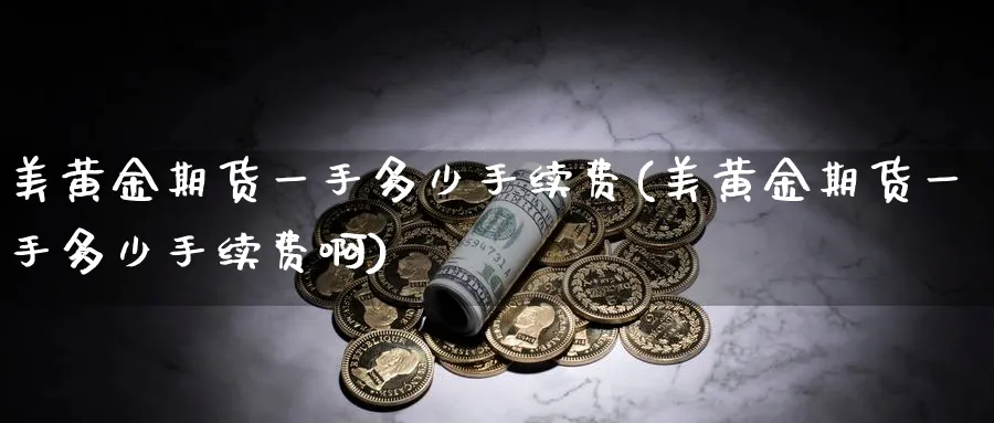 美黄金期货一手多少手续费(美黄金期货一手多少手续费啊)_https://www.nyyysy.com_期货喊单_第1张