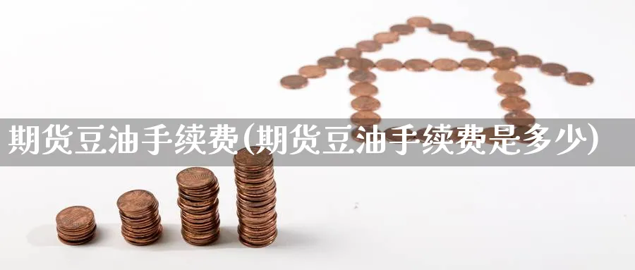 期货豆油手续费(期货豆油手续费是多少)_https://www.nyyysy.com_期货喊单_第1张