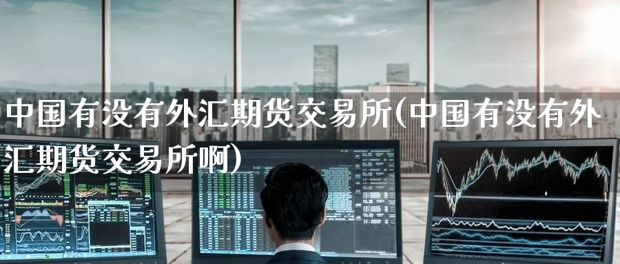 中国有没有外汇期货交易所(中国有没有外汇期货交易所啊)_https://www.nyyysy.com_期货行情_第1张
