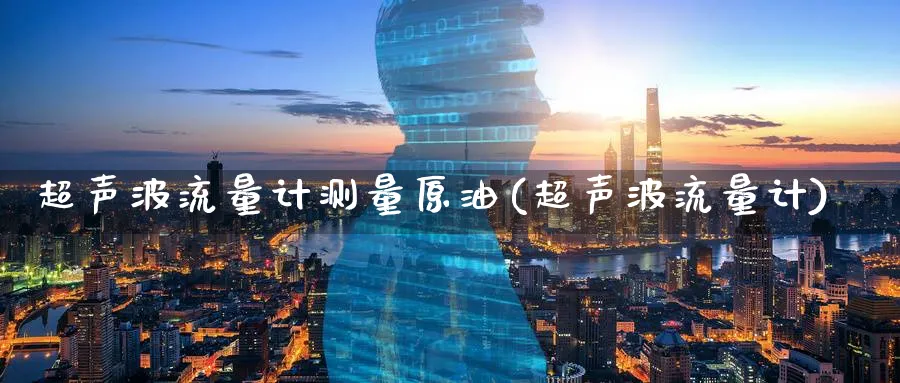 超声波流量计测量原油(超声波流量计)_https://www.nyyysy.com_期货直播_第1张