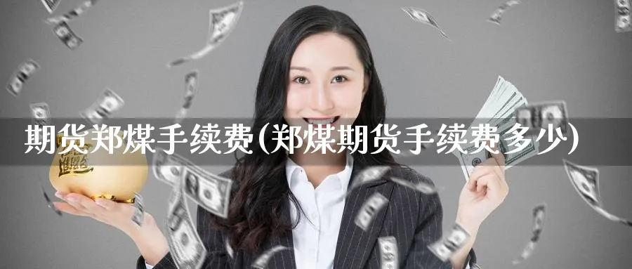 期货郑煤手续费(郑煤期货手续费多少)_https://www.nyyysy.com_期货市场_第1张